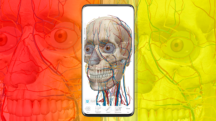 La app de ANATOMÍA del CUERPO HUMANO con ANIMACIONES en 3D